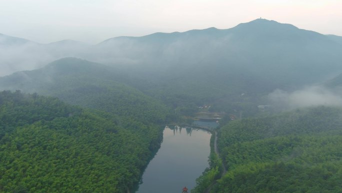 4k高清航拍江苏宜兴竹海景区