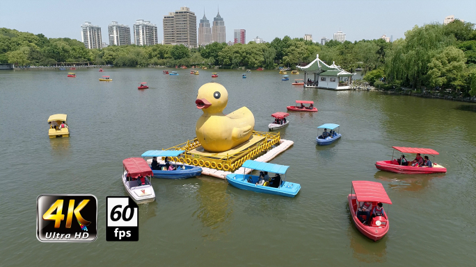 上海城市公园湖泊游船休憩游玩暑期阖家欢乐