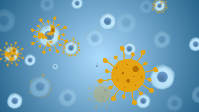 细胞感染病毒MG动画
