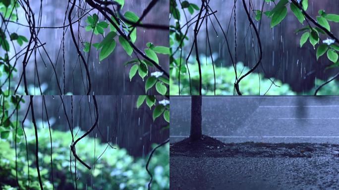 下雨雨声雨滴雨