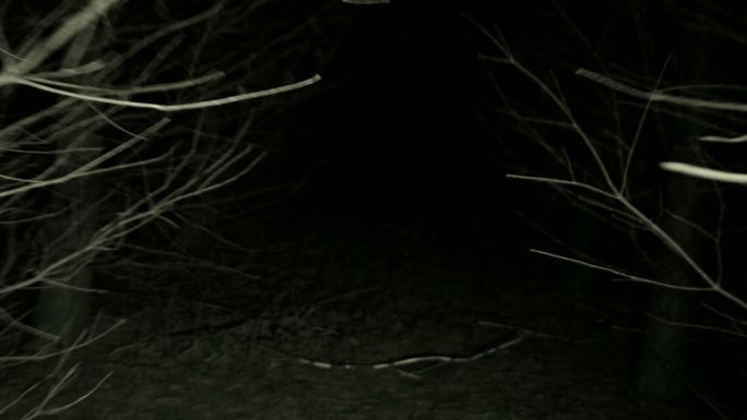 在夜晚穿越黑暗的森林的镜头