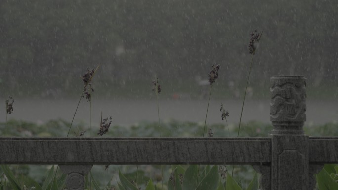 暴雨天气