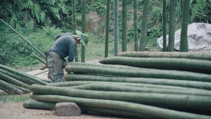 竹子竹林山区老人劳动人民砍竹子