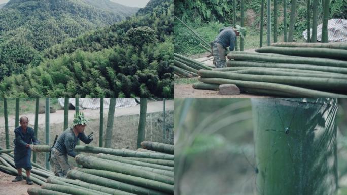 竹子竹林山区老人劳动人民砍竹子