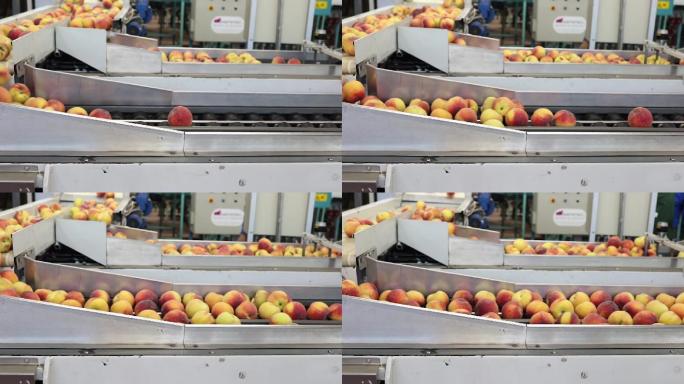 工厂中黄桃的产业转移系统划分