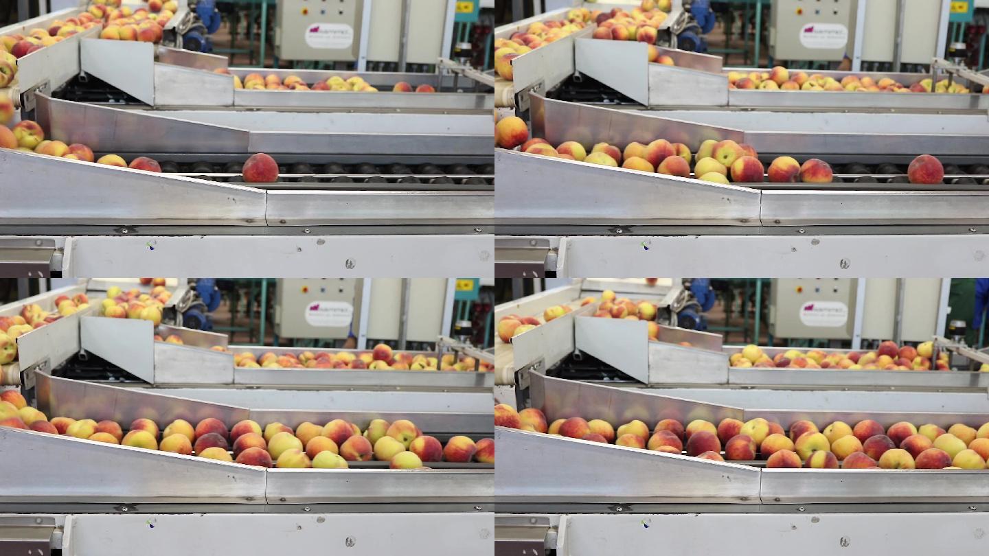 工厂中黄桃的产业转移系统划分