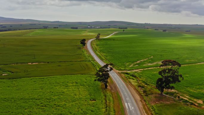 南非西开普省公路