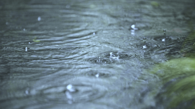 下雨意境升格水滴落下慢动作雨点谷雨雨季