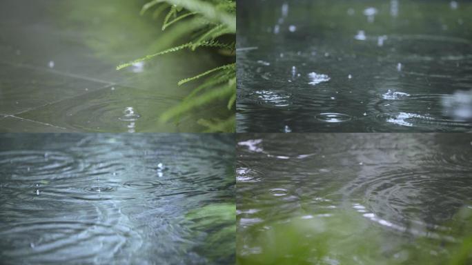 下雨意境升格水滴落下慢动作雨点谷雨雨季