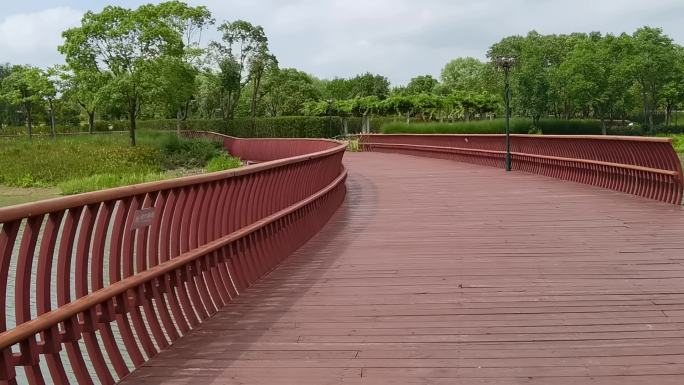 上海嘉定北郊野公园植物公园小路湖水