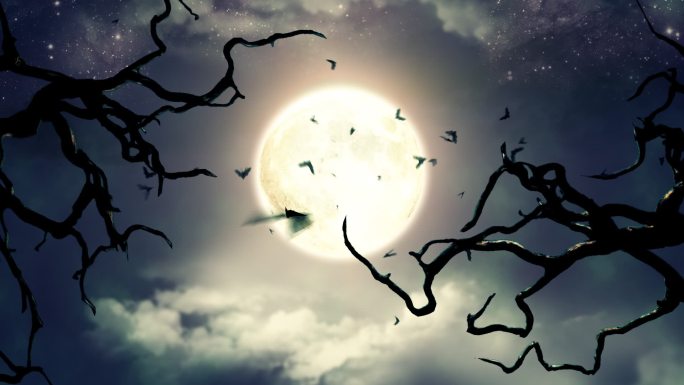在幽灵般的月光下飞翔的蝙蝠