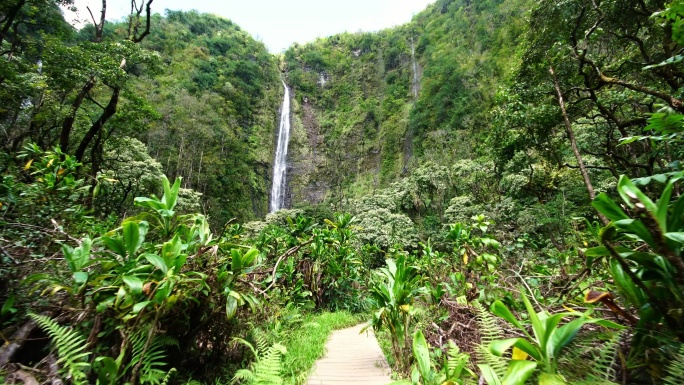 热带瀑布丛林徒步旅行