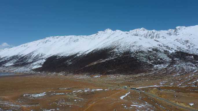 4k西藏风光视频黄色草地草原雪山雪峰