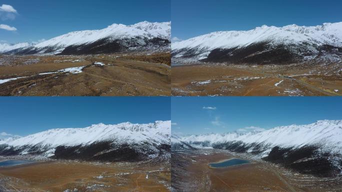4k西藏风光视频黄色草地草原雪山雪峰
