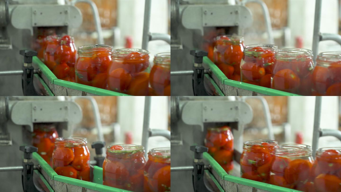 番茄脯生产的工作过程