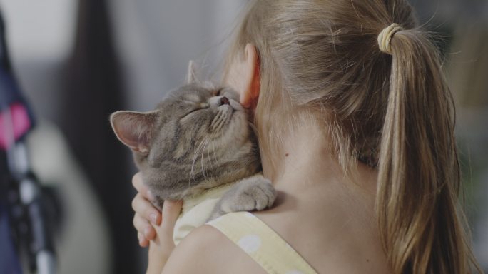 女孩抱着一只猫的特写镜头
