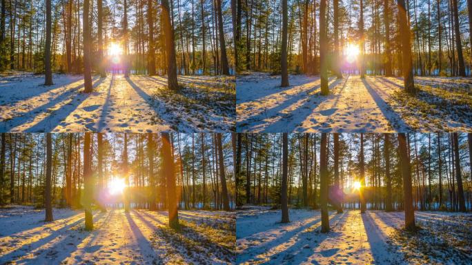 冬天森林里的日落，时光流逝