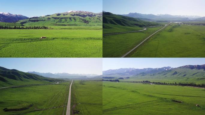 新疆旅游--4k航拍唐布拉草原