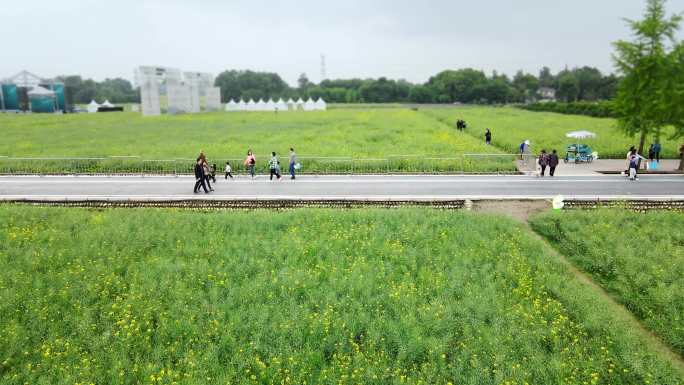 成都市郫县东林艺术村