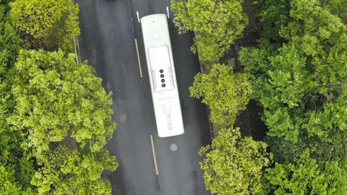 航拍公交巴士车行驶于树木林荫道路上帝视角