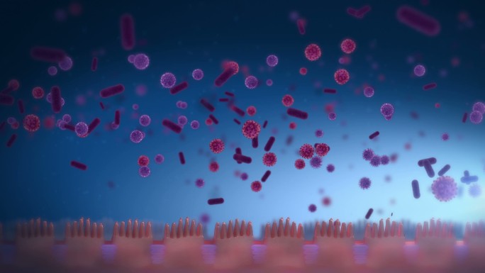肠道菌群失调免疫系统生物技术显微镜