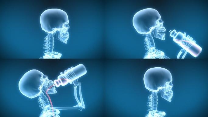 X光照射下显示出人体骨骼结构正在喝水