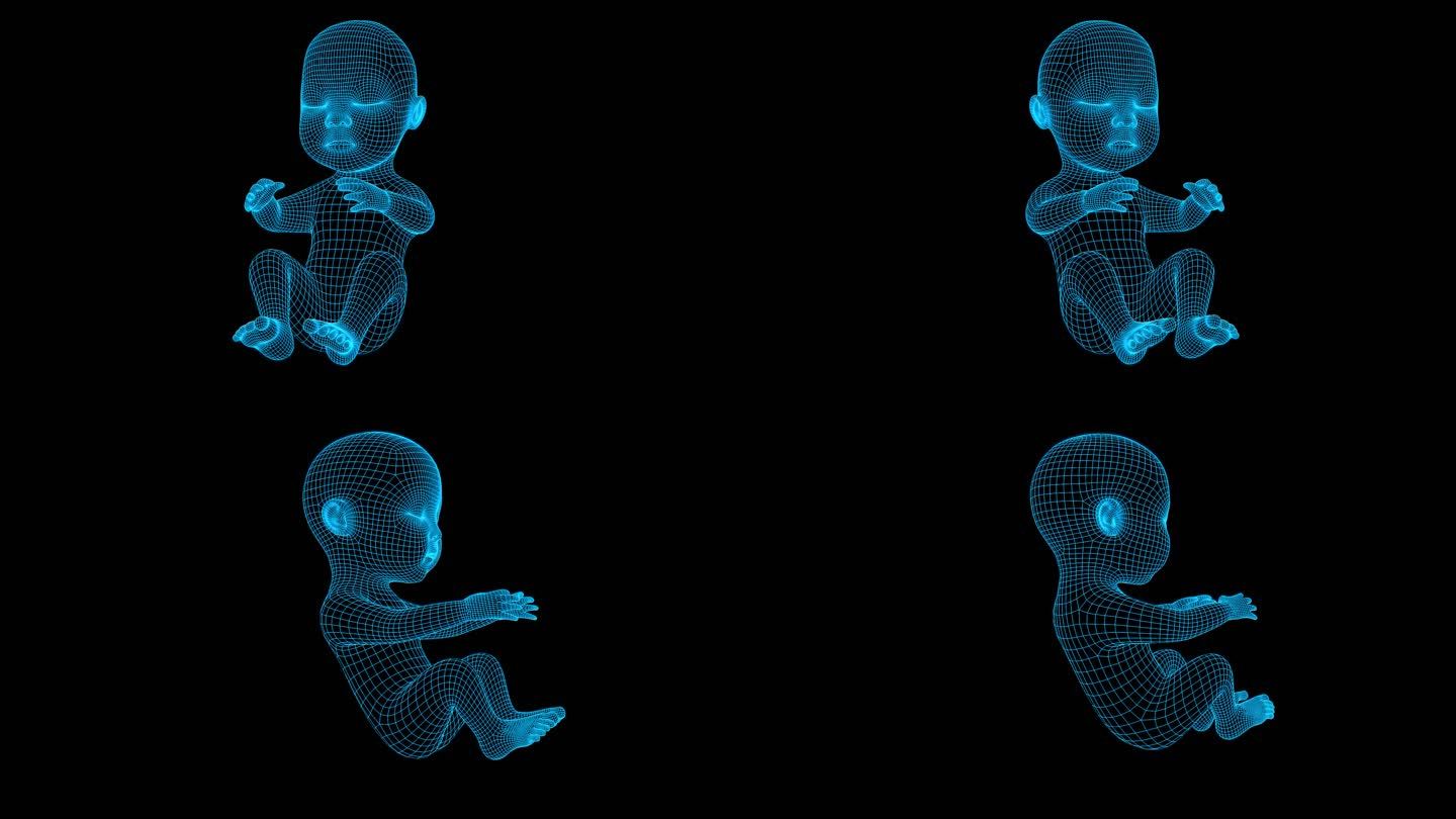 蓝色科技全息胎儿循环带通道