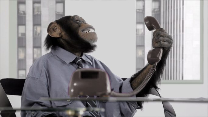 猴子营业室商务装懒惰拟人化