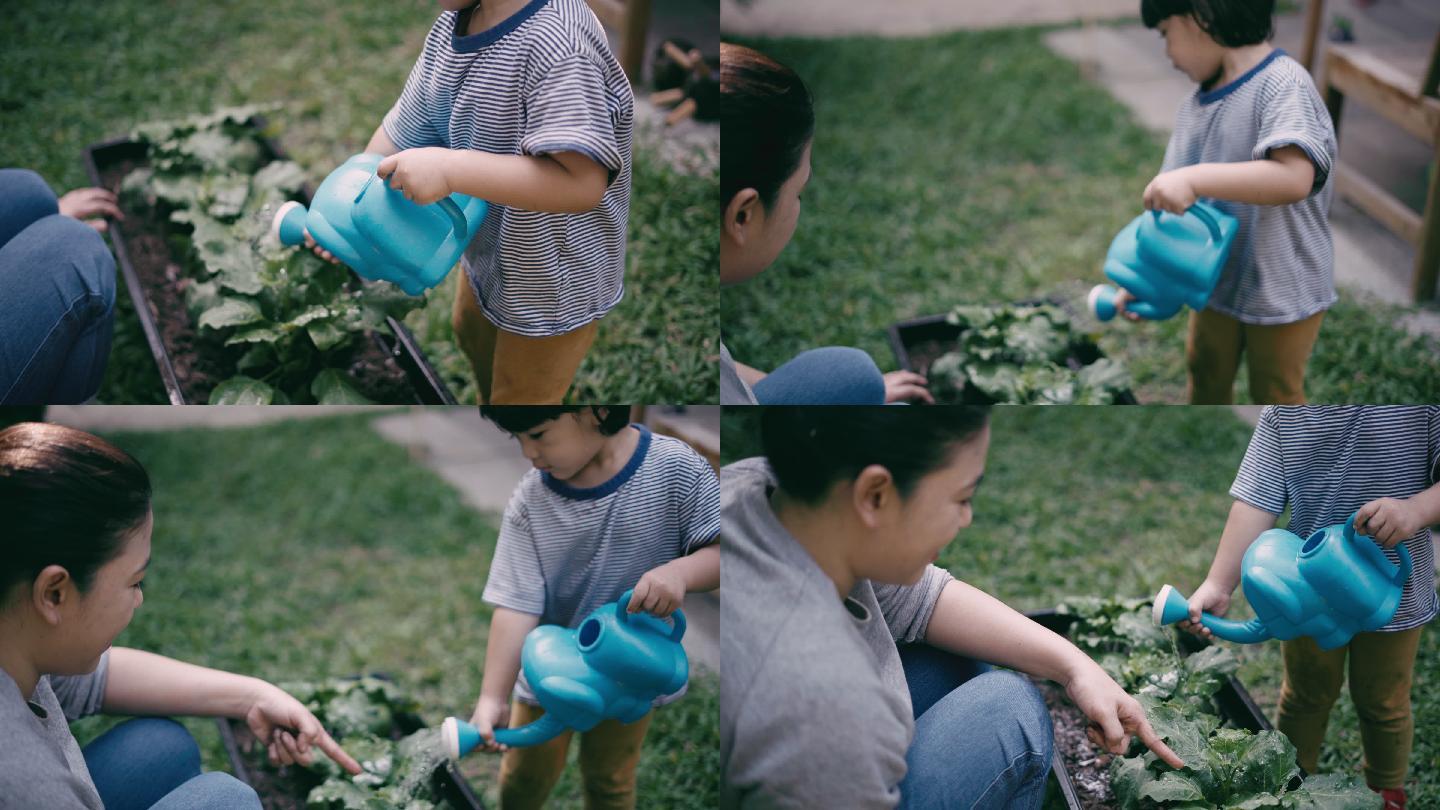 母亲教男孩种菜和浇水