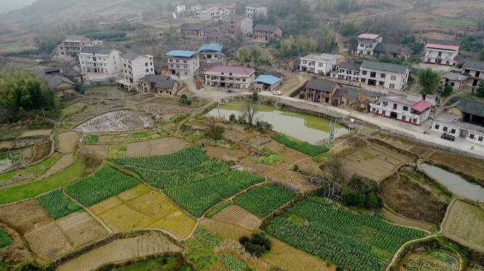 中国南方乡村现状