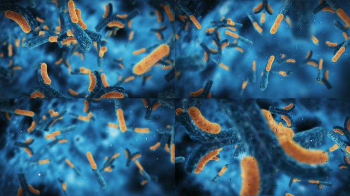 抗体攻击病毒免疫药效细菌真菌动画素材