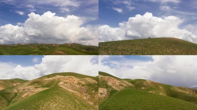 4K航拍新疆伊犁草原牧场山坡蓝天白云风景