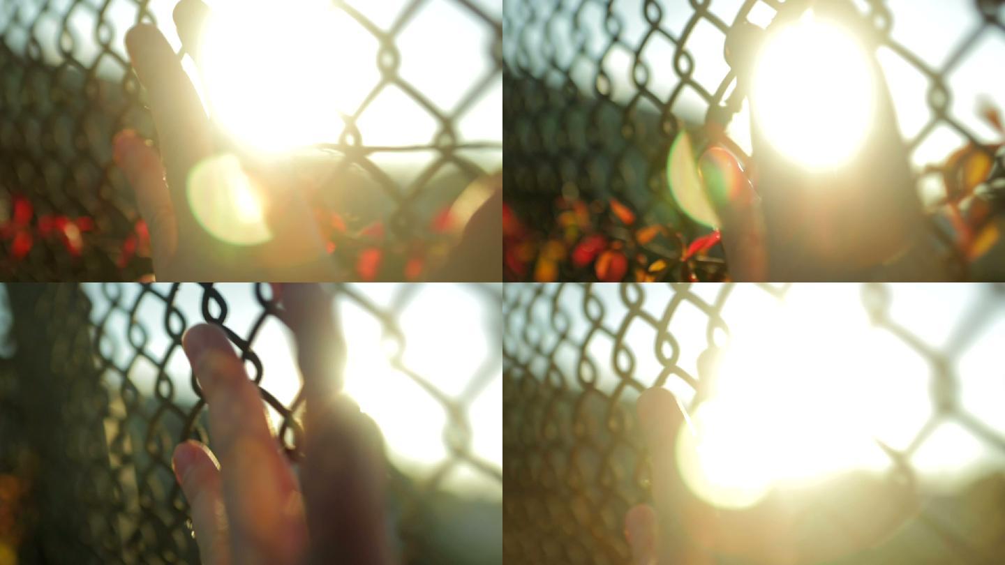一个人，手放在篱笆上，在夕阳下慢行。