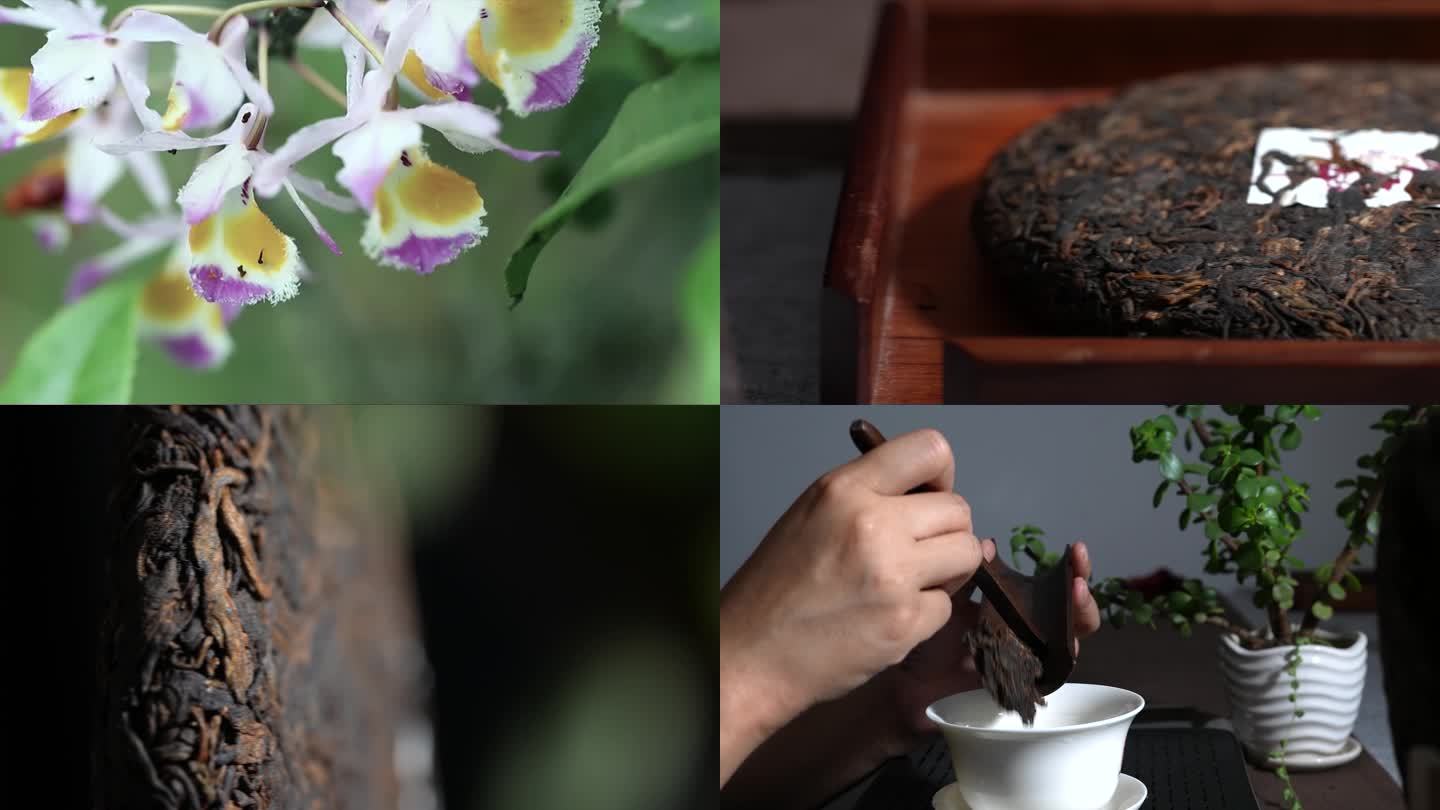 【原创】普洱熟茶生态环境及冲泡