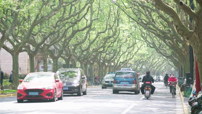 上海市新华路长宁区梧桐树林荫大道