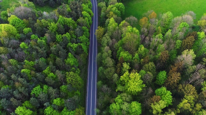 航拍森林道路景色风景风光美景生态大自然高