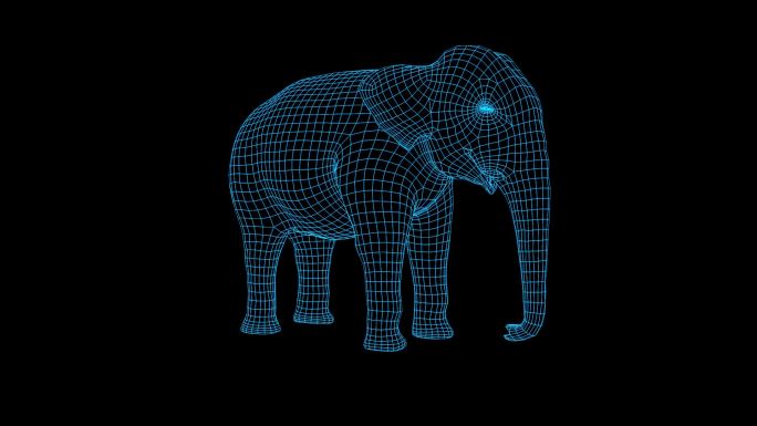 蓝色全息科技亚洲象动画素材带通道