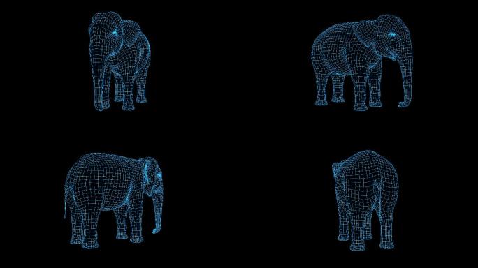 蓝色全息科技亚洲象动画素材带通道
