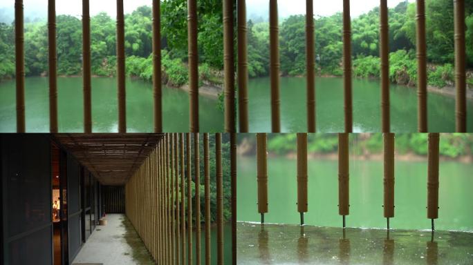 下雨雨天雨滴雨季树叶