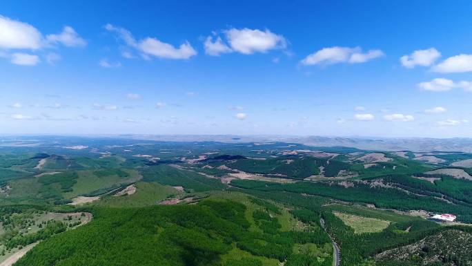 高空航拍塞罕坝林海全景