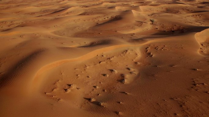日出时的沙丘
