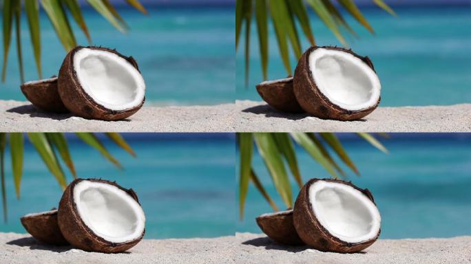 海边的椰子三亚厦门青岛风景海南海岛