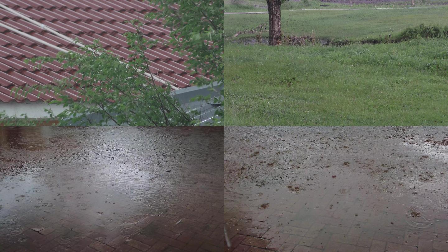 风雨中的树暴雨下雨雨滴密集雨打地面洪水