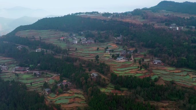 巴中通江春在镇笔山梯田