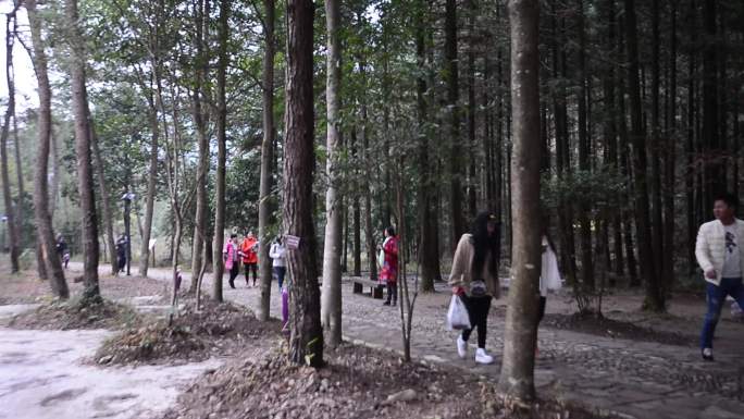 浙江台州仙居神仙居景区游客徒步登高游览2