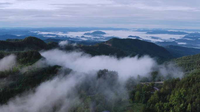 无人机视角下的高山云雾2