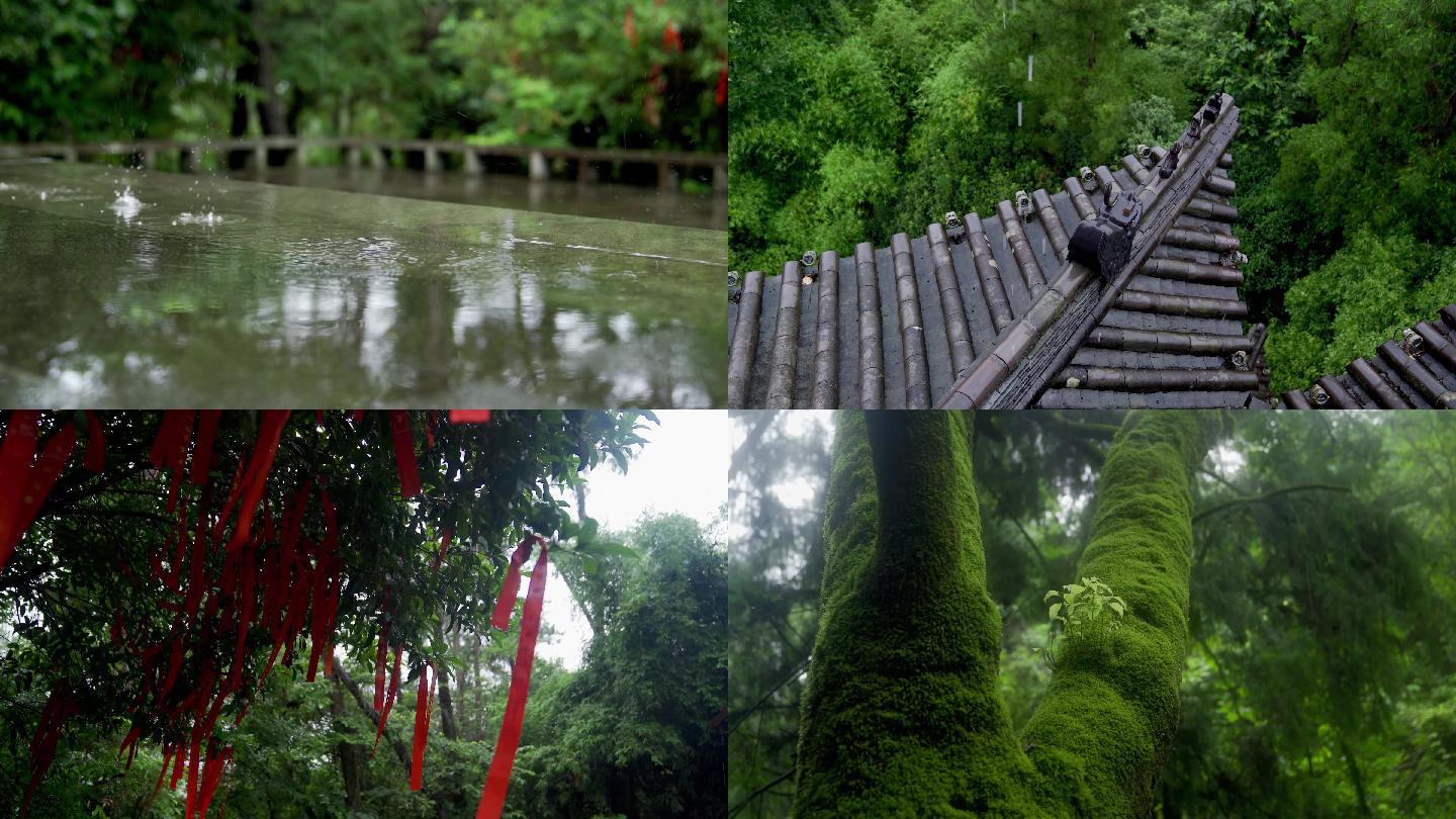 雨天森林中的寺庙