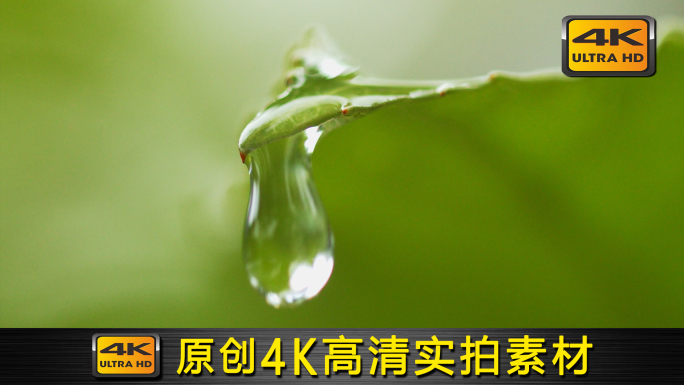【4K】原创夏季雨季下雨梅雨季唯美空镜7