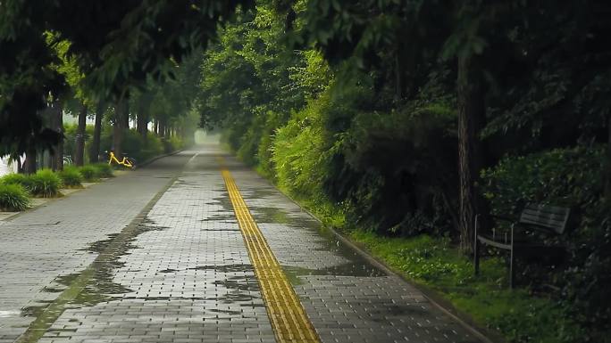 安静下雨场景视频