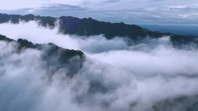 无人机视角下的高山云雾1